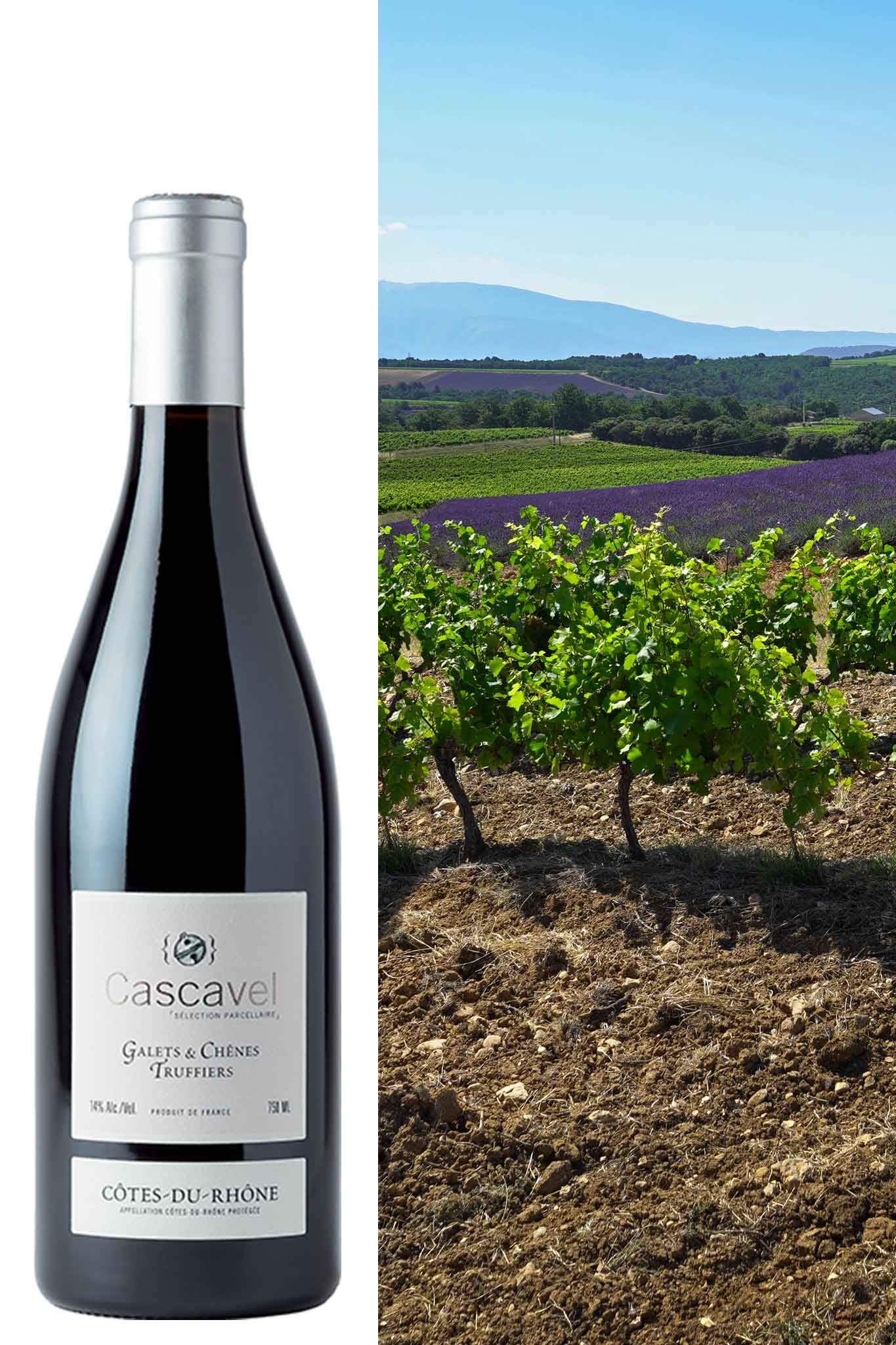 Vignobles & Lavandes
