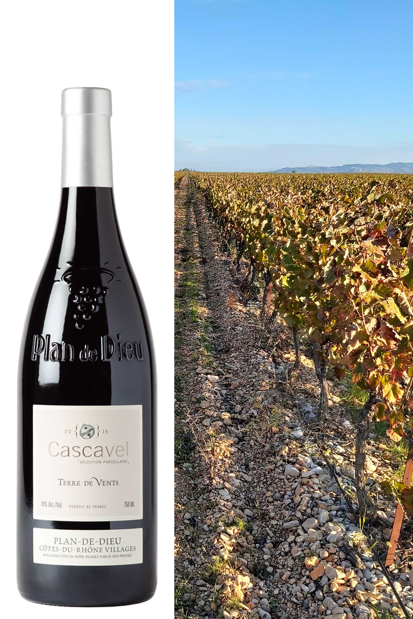 Vignobles du Plan-de-Dieu